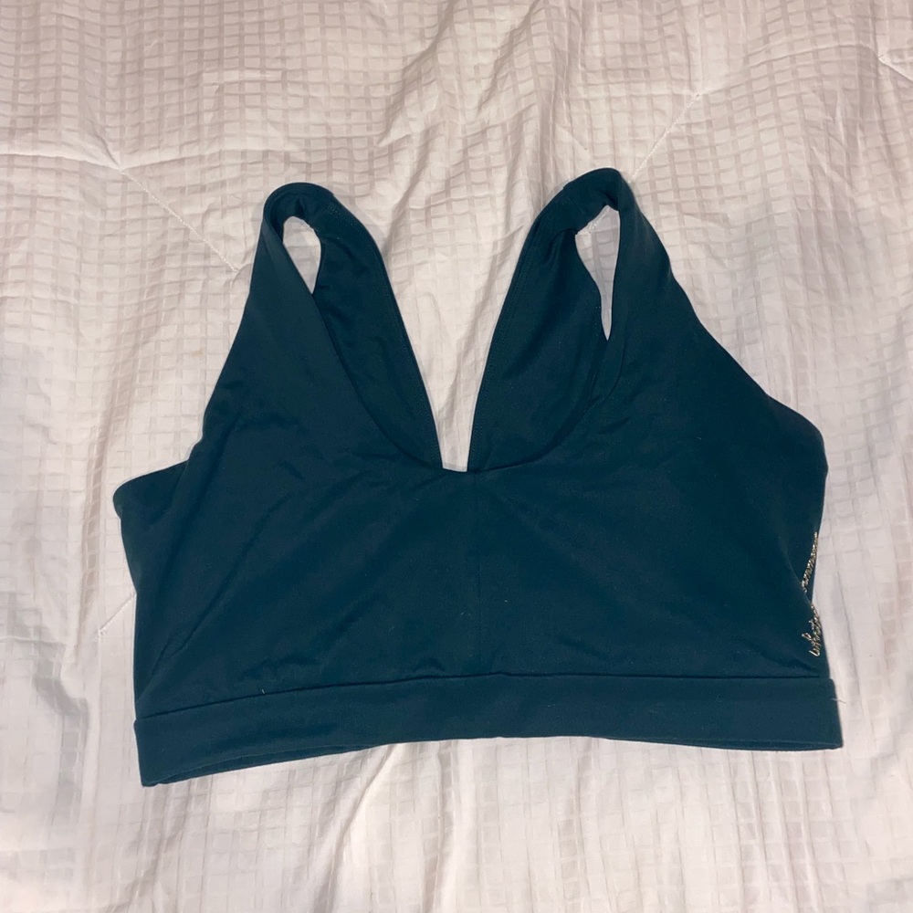 Whitney Simmons x GS szn 2 sports bra (M) (green)